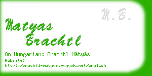 matyas brachtl business card