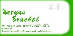 matyas brachtl business card